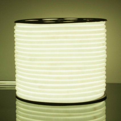 Гибкий неон Elektrostandard 9,6W/m 144LED/m 2835SMD холодный белый 50M a043547, в современном стиле, цвет белый