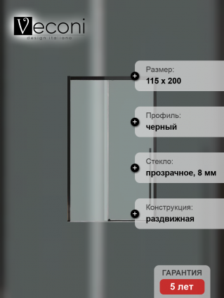 Дверь для душевого уголка Veconi Premium Trento PTD-30B 120 см, профиль черный матовый, стекло прозрачное, раздвижная