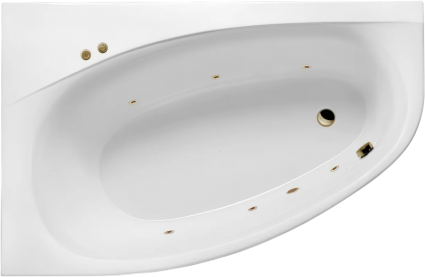 Угловая ванна акриловая Excellent Kameleon Soft L 170x110 см, белая, с гидромассажем/джакузи, левая, с каркасом, встраиваемая, со сливом-переливом, фурнитура бронза, асимметричная, объем 235 л.