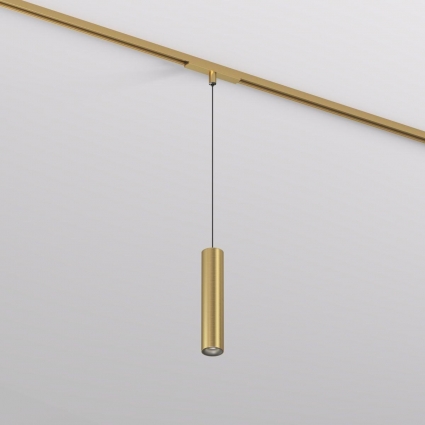 Трековый светодиодный светильник Denkirs Shine Spot DK5744-SB в современном стиле, цвет латунь