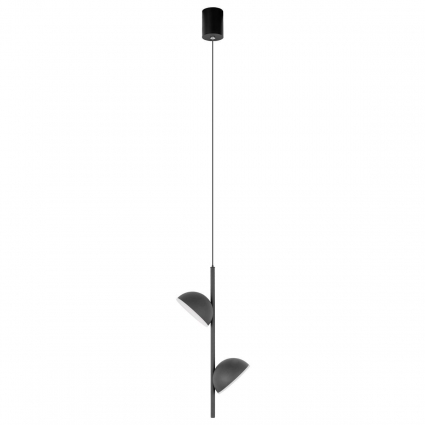 Подвесной светильник Loft IT Mons 10335 Black в стиле модерн