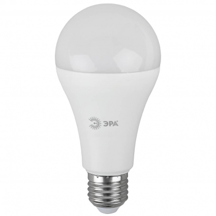 Лампа светодиодная ЭРА E27 25W 2700K матовая LED A65-25W-827-E27 R Б0048009 цвет белый