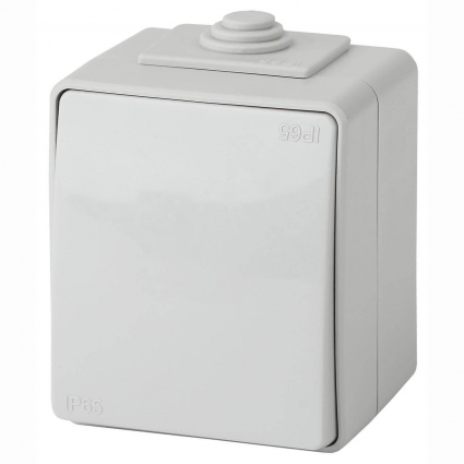 Выключатель одноклавишный ЭРА Эксперт 10AX 250V IP65 11-1601-03 Б0035972 в современном стиле, цвет серый