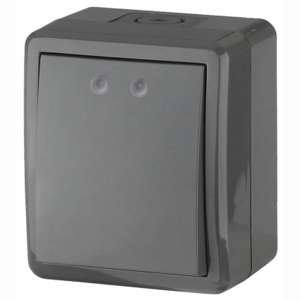 Переключатель одноклавишный ЭРА Эксперт 10AX 250V IP54 11-1403-03 Б0020674 в современном стиле, цвет серый