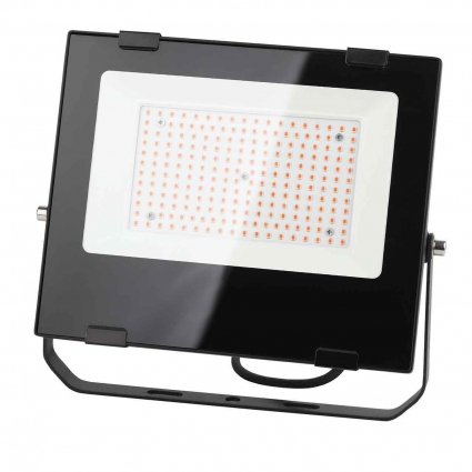 Прожектор светодиодный ЭРА PRO 100W 1200K Fito-100W-RB-Led Б0046369 в современном стиле, цвет черный