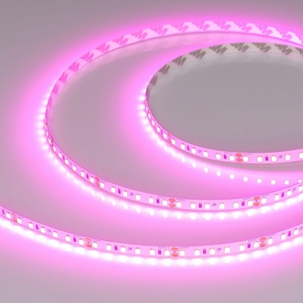 Светодиодная лента Arlight 6W/m 120Led/m 2835SMD пурпурно-розовый 5M RT-A120-8mm 24V Magenta 043381 цвет белый, мощность 30 Вт