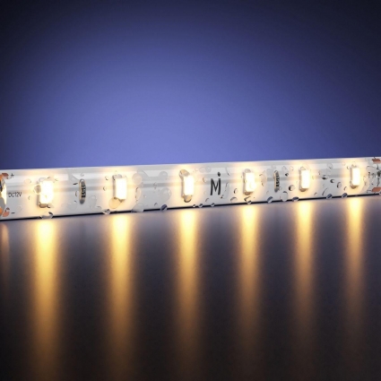 Светодиодная влагозащищенная лента Maytoni 4,8W/m 60LED/m 2835SMD теплый белый 5M 201012, цвет белый, мощность 24.00 Вт
