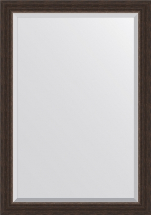 Зеркало Evoform Exclusive BY 1194 71x101 см палисандр прямоугольное,  в стиле ретро