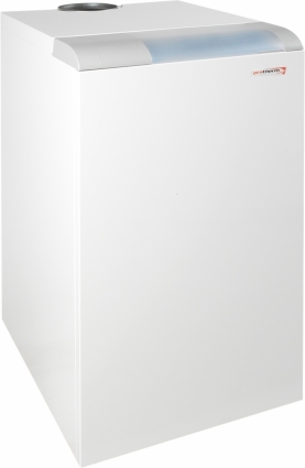 Газовый котел Protherm Медведь 30 PLO (26 кВт) одноконтурный, напольный