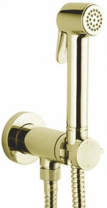 Гигиенический душ Bossini Paloma Brass Mixer Set E37005B.021 со смесителем, С ВНУТРЕННЕЙ ЧАСТЬЮ, золото в современном стиле
