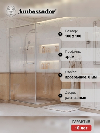 Душевой уголок Ambassador Abner 10011102L 100х100 см квадратный, двери распашные
