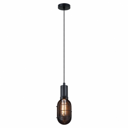 Подвесной светильник Lussole Loft LSP-9816 в стиле лофт, цвет черный
