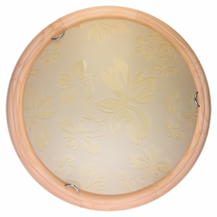 Настенно-потолочный светодиодный светильник Toplight Jane TL9640Y-00PN в стиле кантри, цвет белый