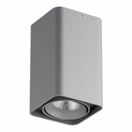 Потолочный светильник Lightstar Monocco 212539 в стиле Хай-тек, цвет серый