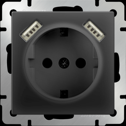 Werkel Розетка с заземлением, шторками и USBx2 черный матовый WL08-SKGS-USBx2-IP20 4690389073236, в современном стиле, цвет черный