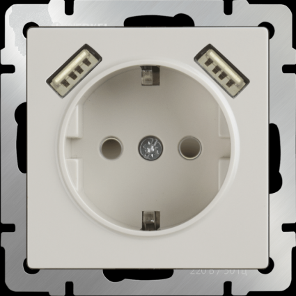 Werkel Розетка с заземлением, шторками и USBx2 слоновая кость WL03-SKGS-USBx2-IP20 4690389073205, в современном стиле, цвет бежевый