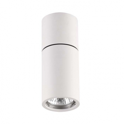 Потолочный светильник Odeon Light Duetta 3582/1C в современном стиле, цвет белый