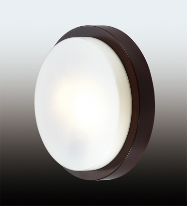 Настенный светильник Odeon Light Holger 2744/2C в современном стиле, цвет белый