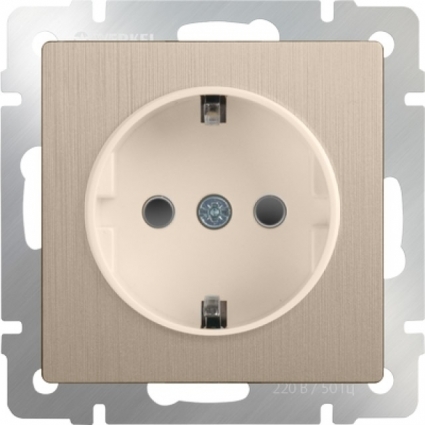 Werkel Розетка с заземлением и шторками шампань рифленая WL10-SKGS-01-IP44 4690389085253, цвет золотой
