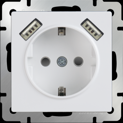 Werkel Розетка с заземлением, шторками и USBx2 белая WL01-SKGS-USBx2-IP20 4690389073199, в современном стиле, цвет белый