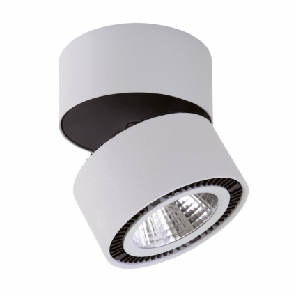 Потолочный светодиодный светильник Lightstar Forte Muro 213830 в стиле Хай-тек, цвет белый
