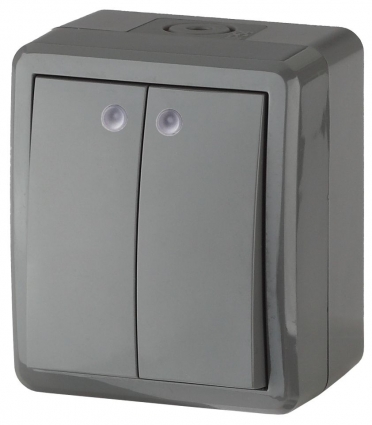 Выключатель двухклавишный с подсветкой ЭРА Эксперт 10AX 250V IP54 11-1405-03, в современном стиле, цвет серый