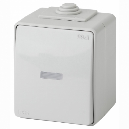 Выключатель одноклавишный с подсветкой ЭРА Эксперт 10AX 250V IP65 11-1602-03, в современном стиле, цвет серый