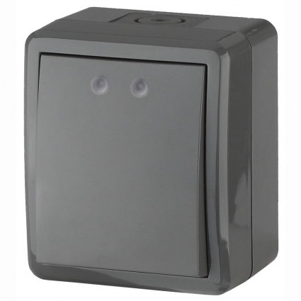 Переключатель одноклавишный ЭРА Эксперт 10AX 250V IP54 11-1403-03 в современном стиле, цвет серый