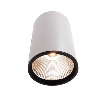 Накладной светильник Deko-Light Luna 30 348059 цвет белый