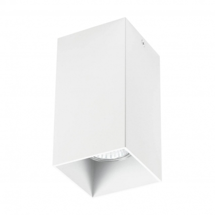Потолочный светильник Lightstar Rullo 216586 цвет белый, мощность 50 Вт