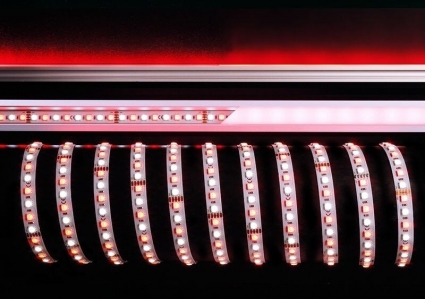 Лента светодиодная Deko-Light 5050-96-24V-RGB+6200K-3m 840215 цвет белый, мощность 80 Вт