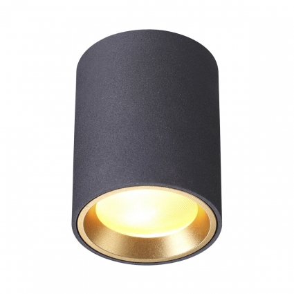 Уличный светильник Odeon Light Aquana 4205/1C цвет черный, мощность 50 Вт